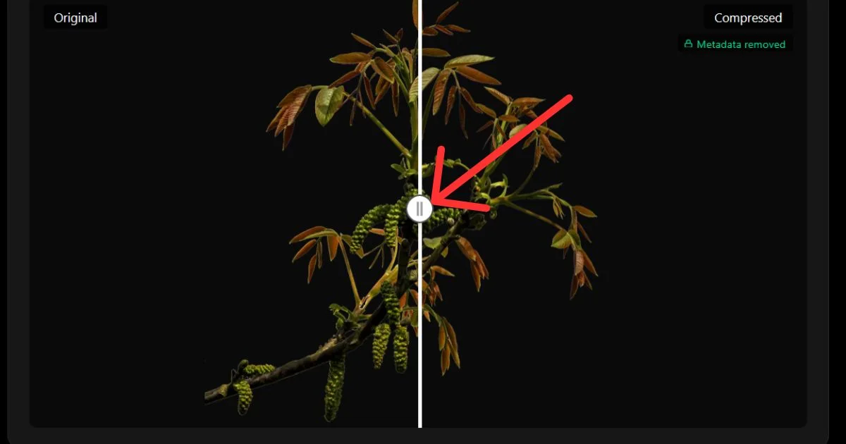 ImgTweak editor before and after comparison slider showing original versus compressed image