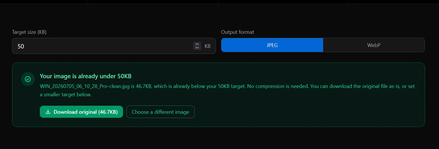 Already-small banner shown when the uploaded image is already under the target file size