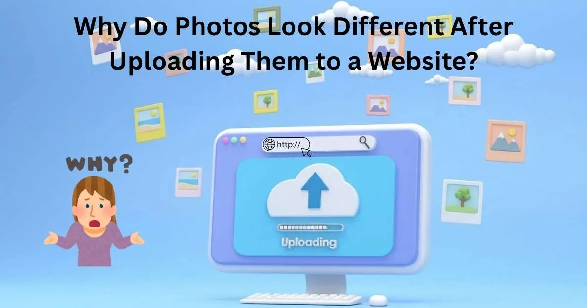 Why Do Photos Look Different After Uploading Them to a Website?